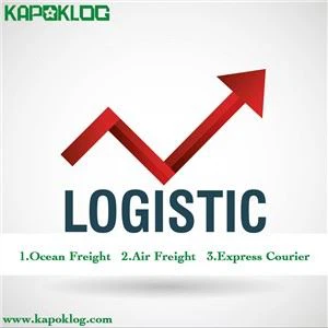 Container 20 ft LCL FCL Amazon Logistics