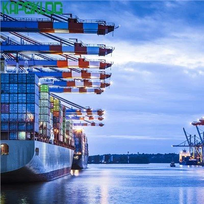 DDP Snelle zeevracht China expediteur